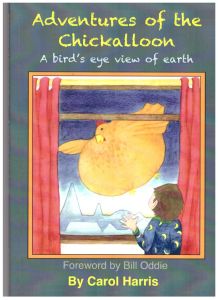 Adventures Of The Chickalloon: A bird's eye view of earth.